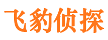 建水外遇出轨调查取证